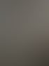 Schwarze Metalltüren mit Glaspaneelen trennen einen Flur mit weißer Tür von einem Raum mit Kommode und Pflanze.